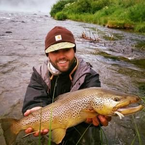 Meet your Posher, Daniel